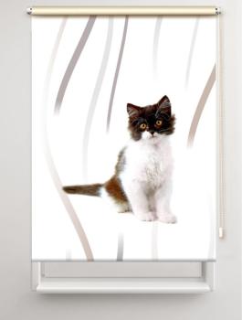 Rollo Felix vertic Katzenbaby, Rollo, Motivrollo, Rollo mit Druck, Fotorollo, bedrucktes Rollo, Fensterrollo,verdunkelndes Rollo, Sonnenschutz Rollo